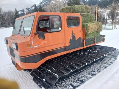 1972 Thiokol Spryte 1201WT Snowcat