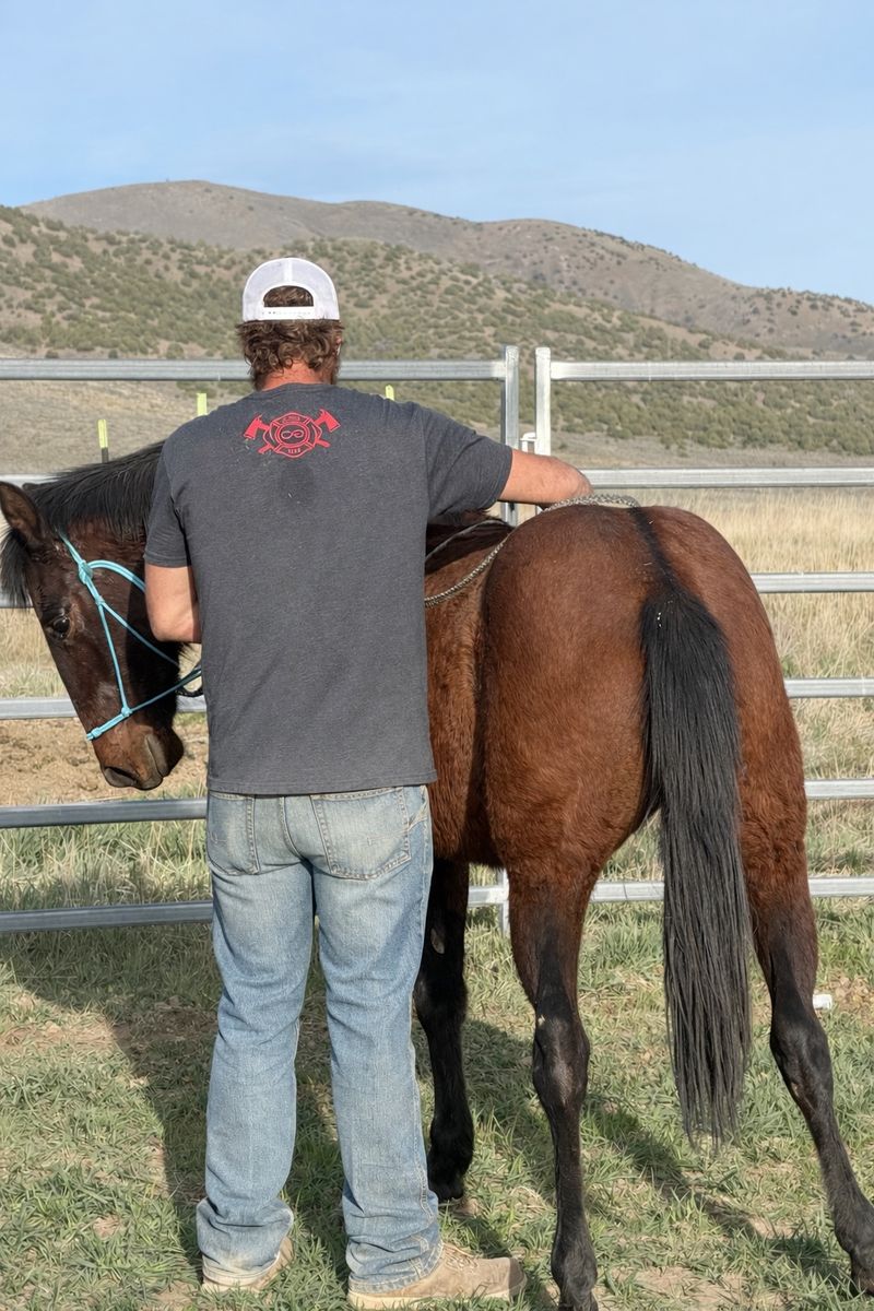 2 year old Filly