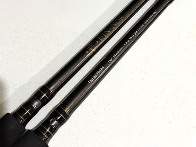 Fin-Nor Lethal 7'0" Medium Spinning Rod - 15-25 lb Line Weight