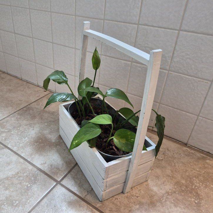 White Wood Box w/Plant