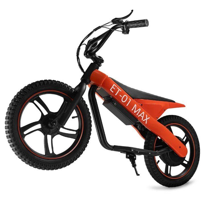 DUODIAN
350W Motor Electric Motorcycle - Up to 15M