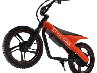 DUODIAN
350W Motor Electric Motorcycle - Up to 15M