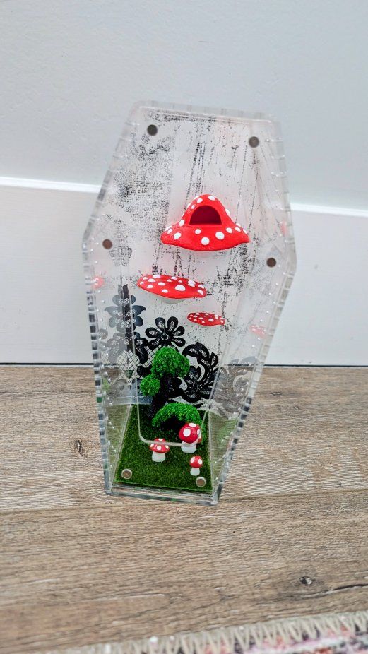 Jumping spider enclosure, spider house, jumping spider terrarium, spider habitat. No spider
