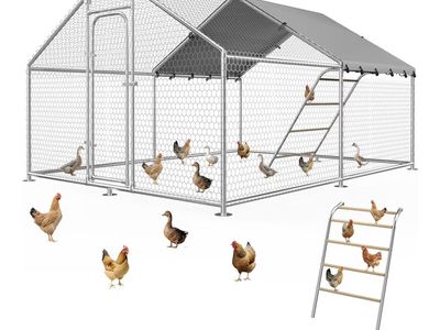 10’ x 20’ Walk-In Metal Chicken Coop