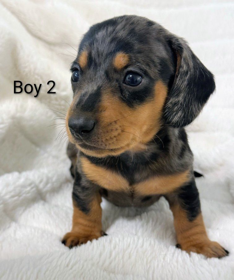 Main image 2