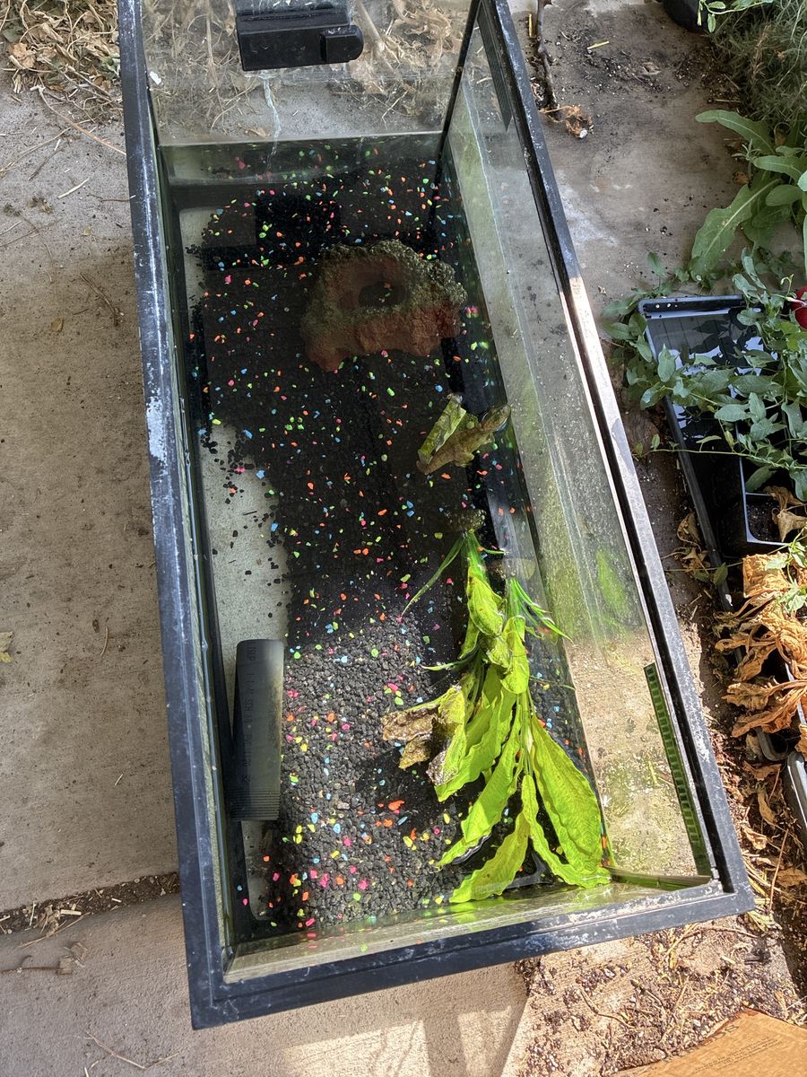 20 Gallon Fish Aquarium Tank with Gravel, Filter, Light Bar, and Accessories