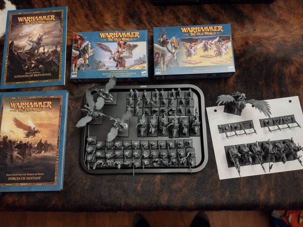 Warhammer The Old World Bretonnia army and books