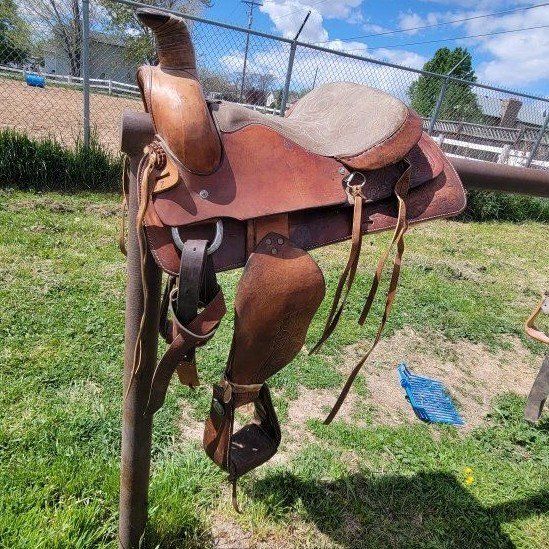Saddle