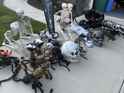 Large Halloween Yard Decoration Lot Skeletons Spiders Skulls Coffin
