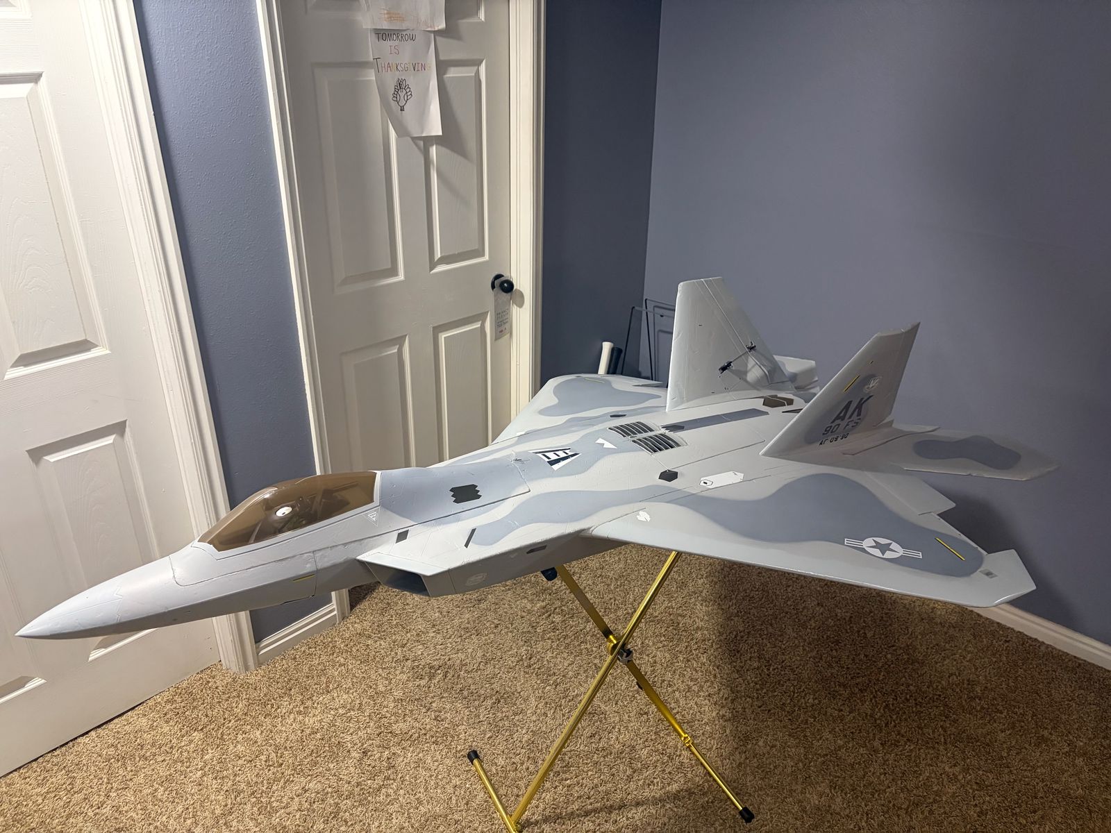 AF Models F-22 110mm Jetfan EDF Jet BNF