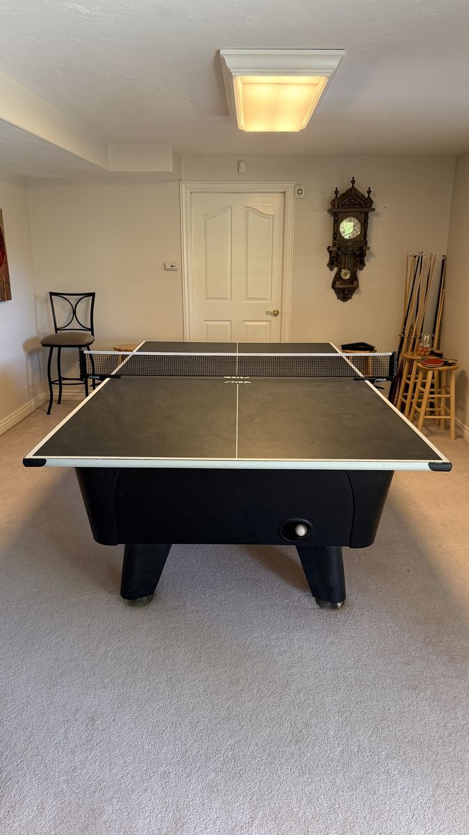 Ping Pong Table Topper (for a pool table or regular table)
