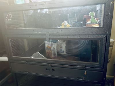 FREE hamster cage (or any small animal)