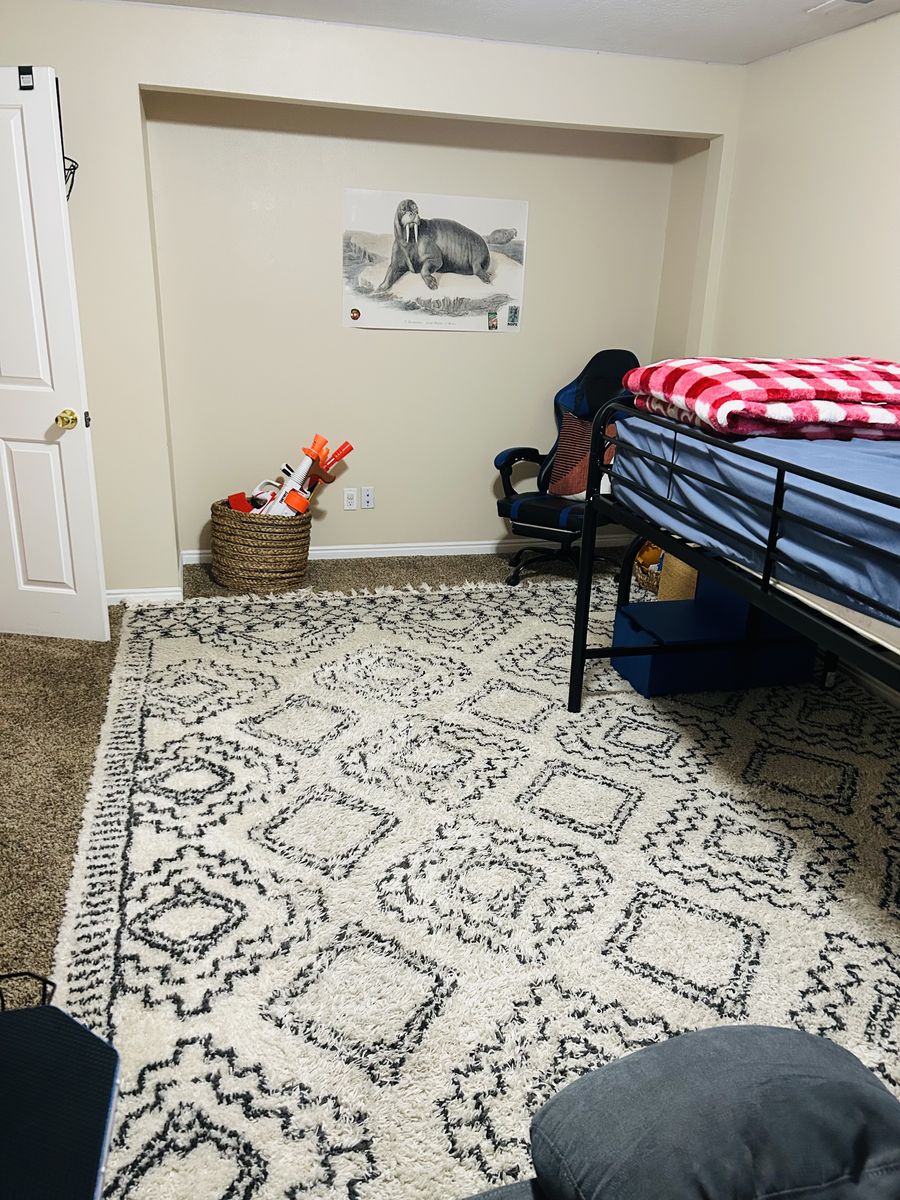 Area Rug 9x12
