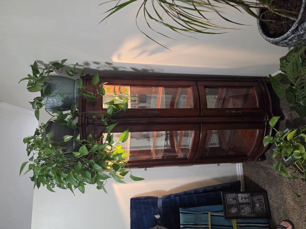 Curio Cabinet
