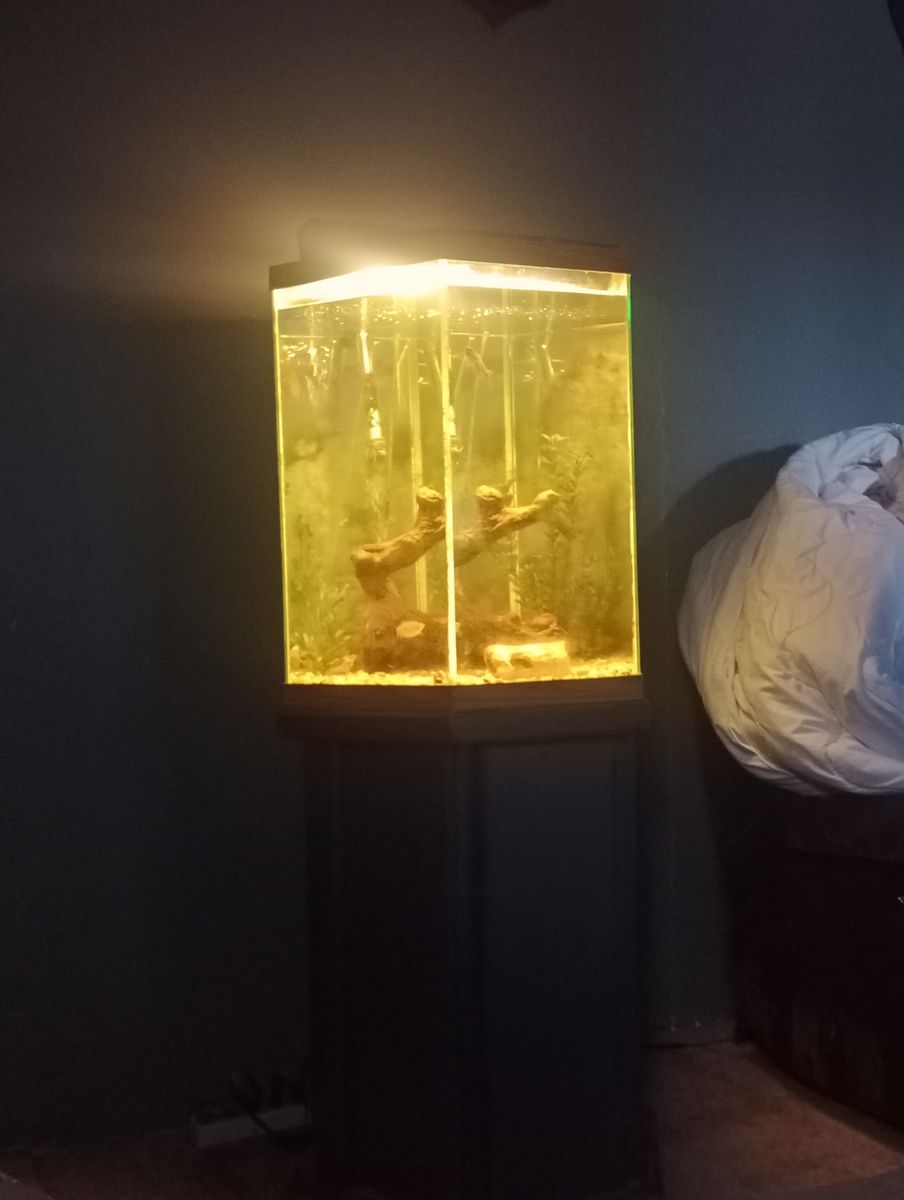 Fish tank