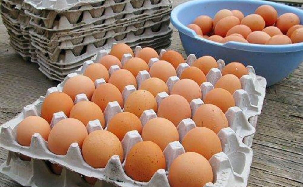 Farm Fresh Eggs for Sale 🥚