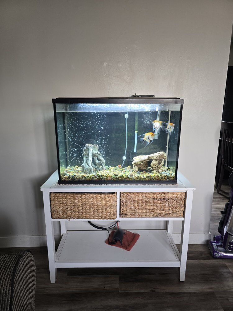 Free 55 gallon fish tank along with 3 angel fish plus the stand.