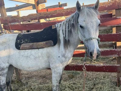 Project Mare