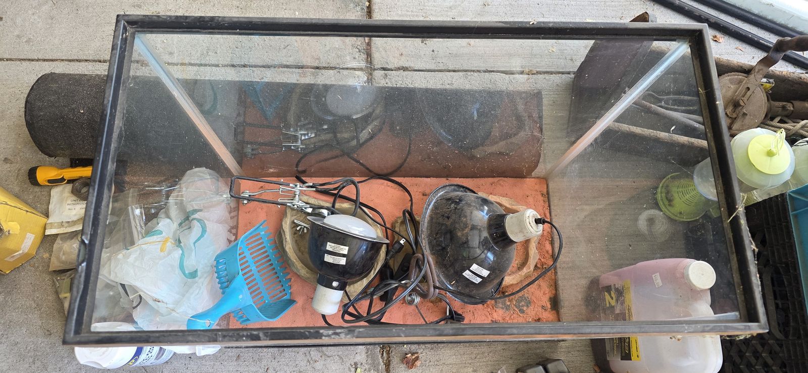 Fish Tank Aquarium