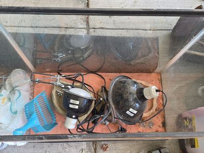 Fish Tank Aquarium