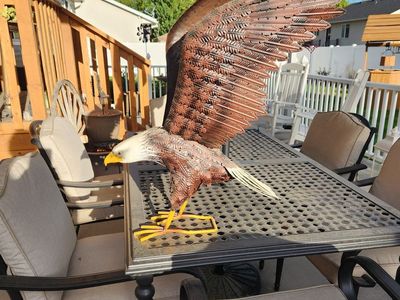 Metal Bald Eagle Outdoor Garden Statue/Yard Art
