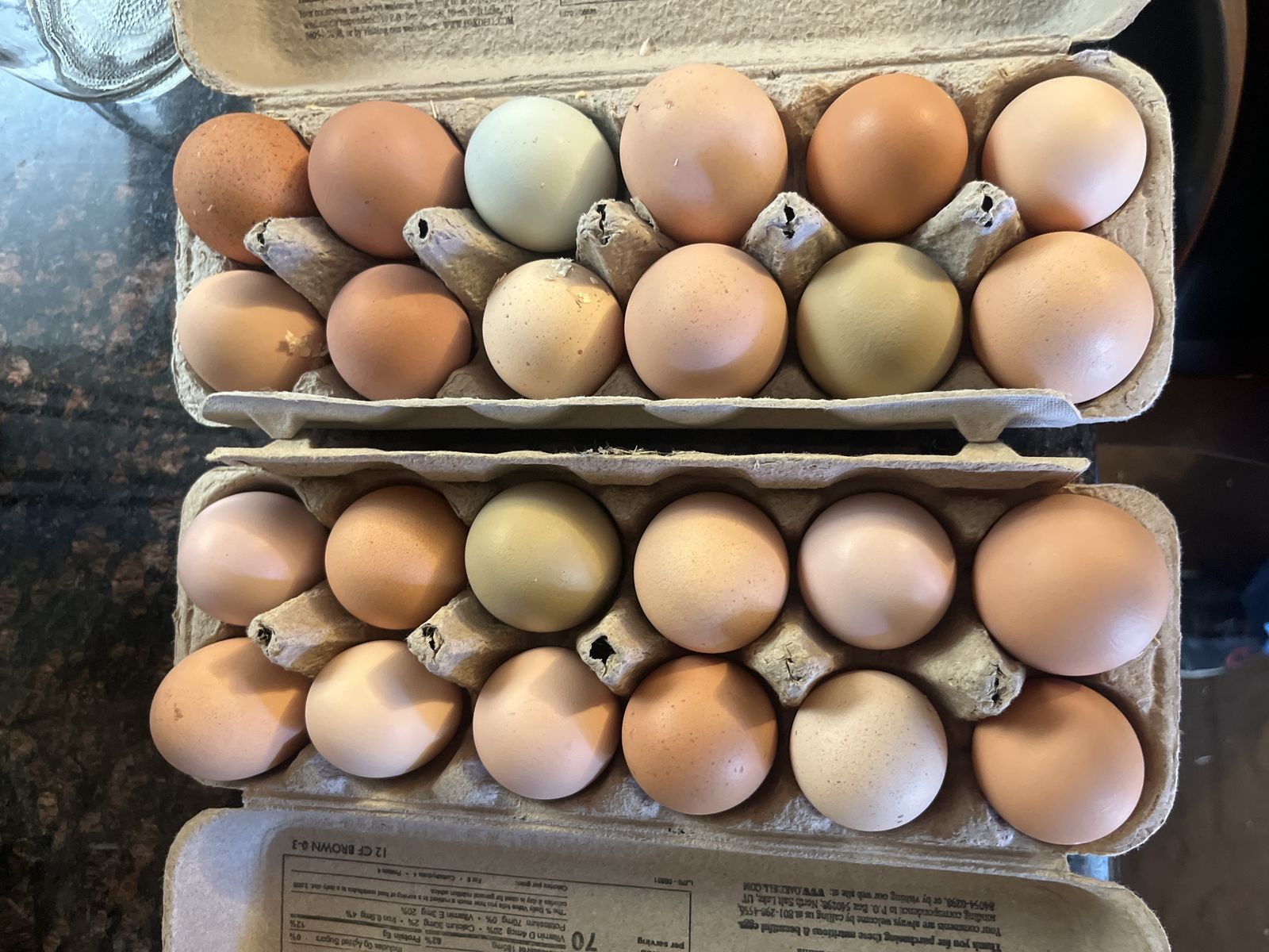 Fresh eggs