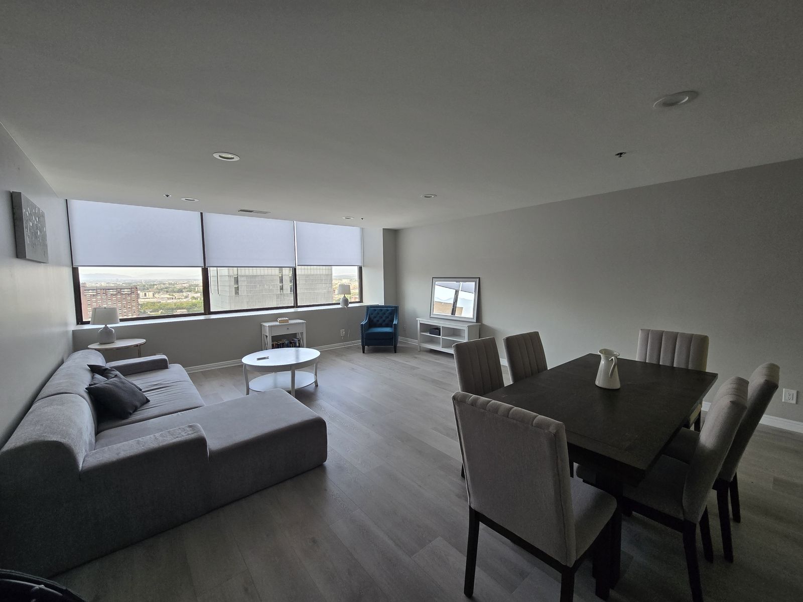 Beautiful downtown apartment