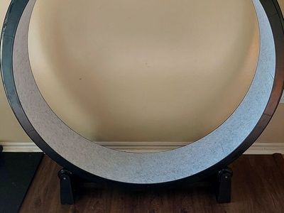 Cat Exercise Wheel