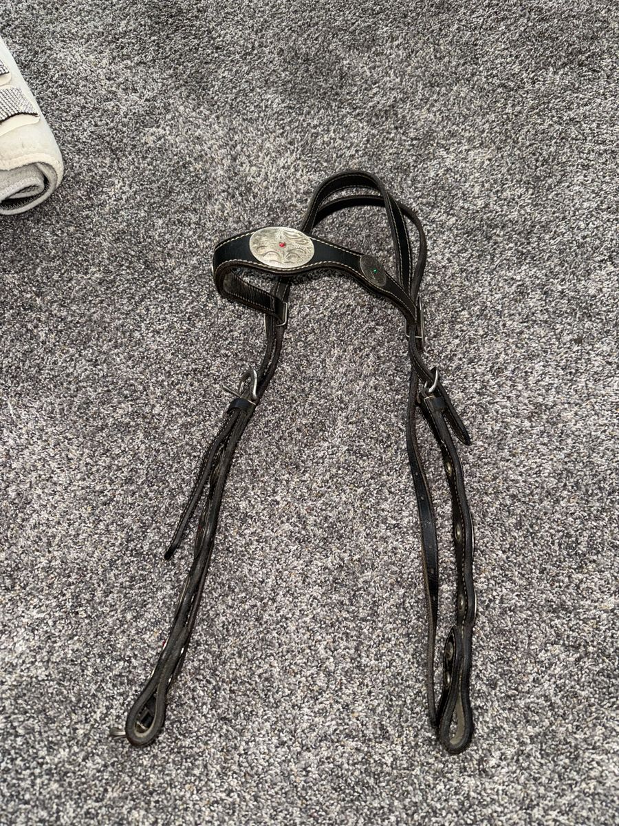 Headstall and breastcollar