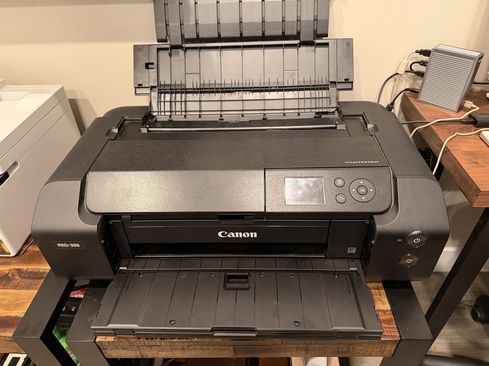 Canon Pro 300 Printer
