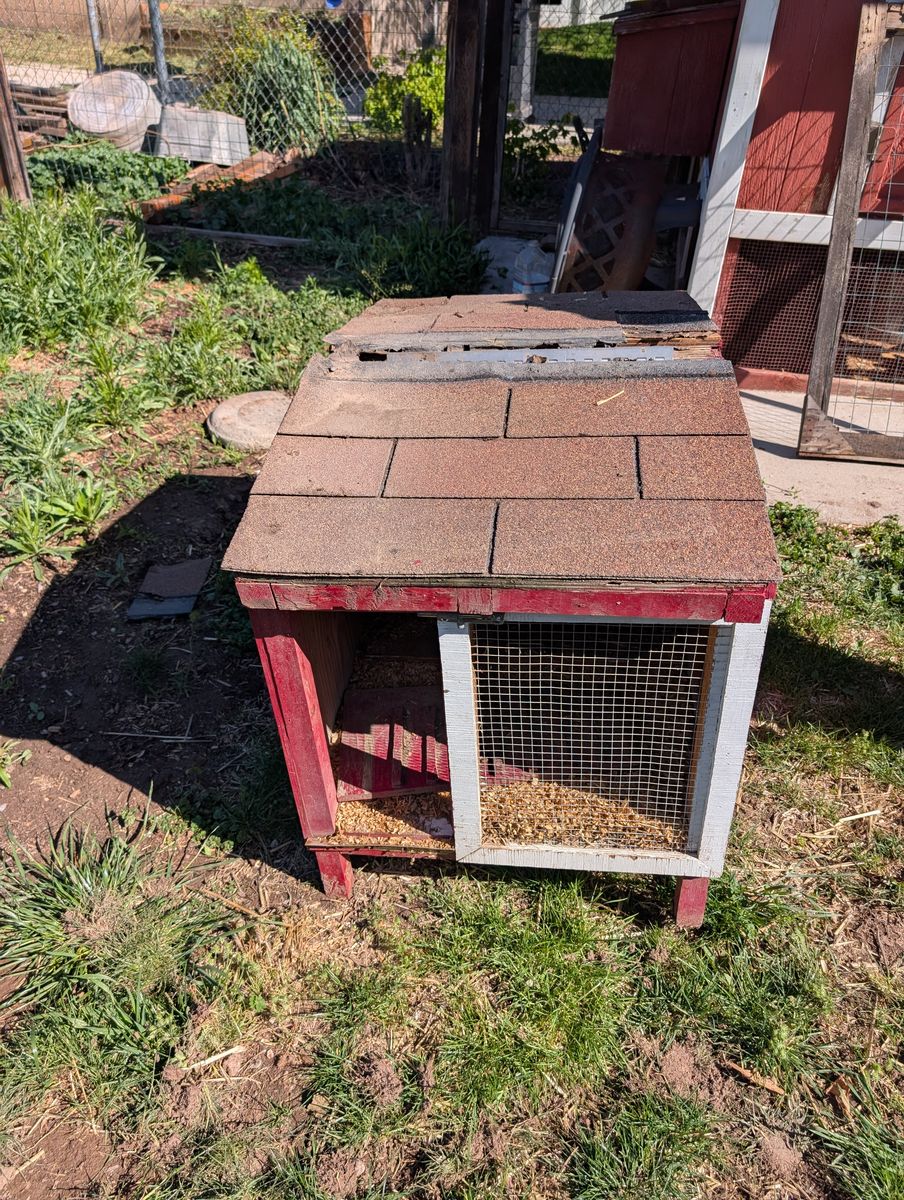 Free chicken brooder