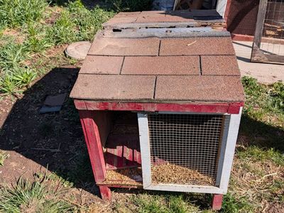Free chicken brooder