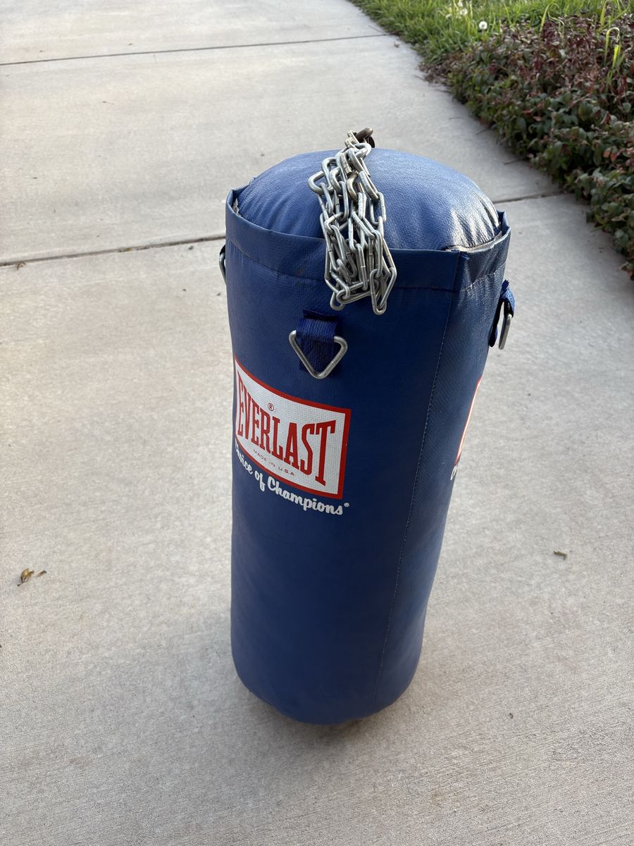 Champion punching bag