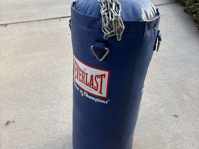 Champion punching bag