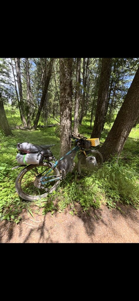 Salsa Timberjack XT 29