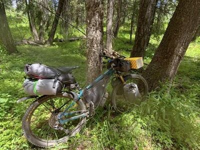 Salsa Timberjack XT 29