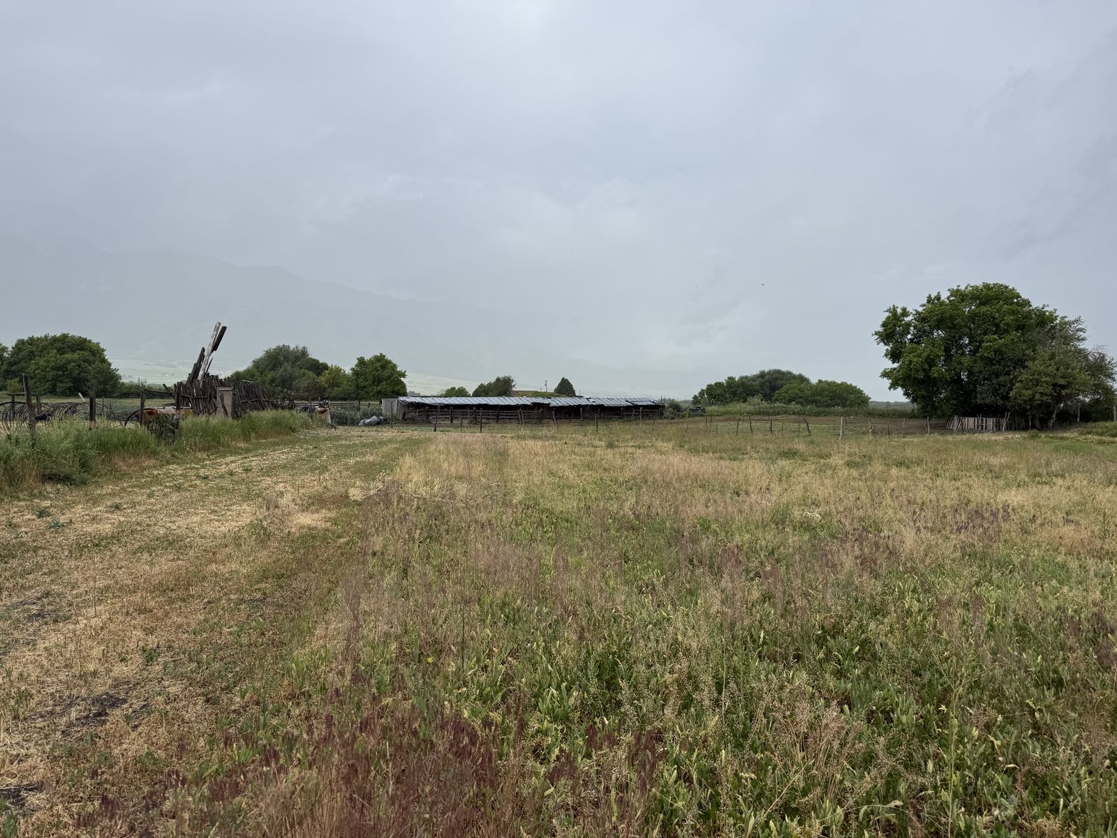 3 acre Pasture for rent Wellsville