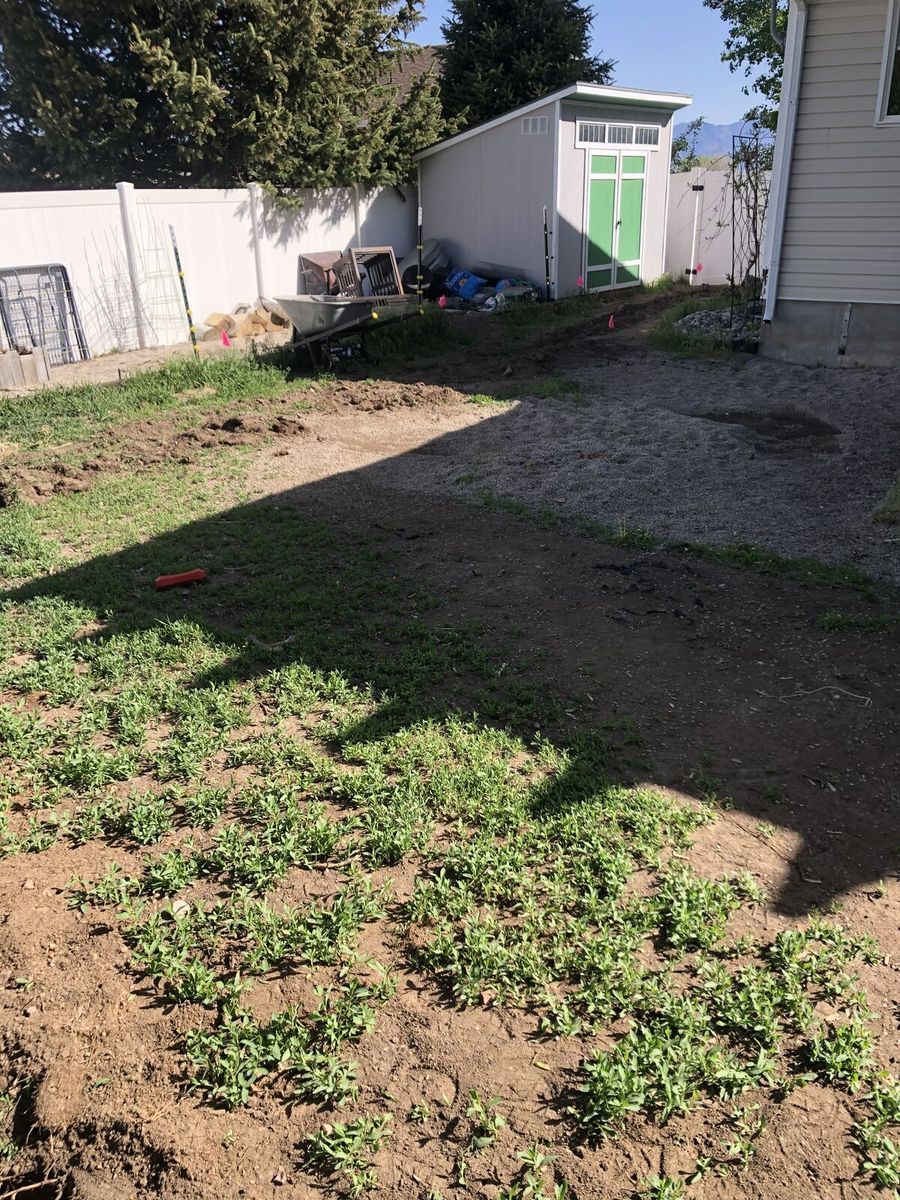 Main image 14
