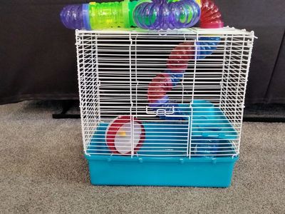 Hamster or mouse cage