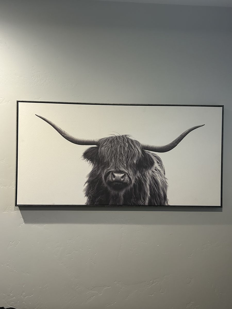 Highland Cow Canvas Print — Black & White, Framed (48"W x 24"H)