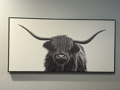 Highland Cow Canvas Print — Black & White, Framed (48"W x 24"H)