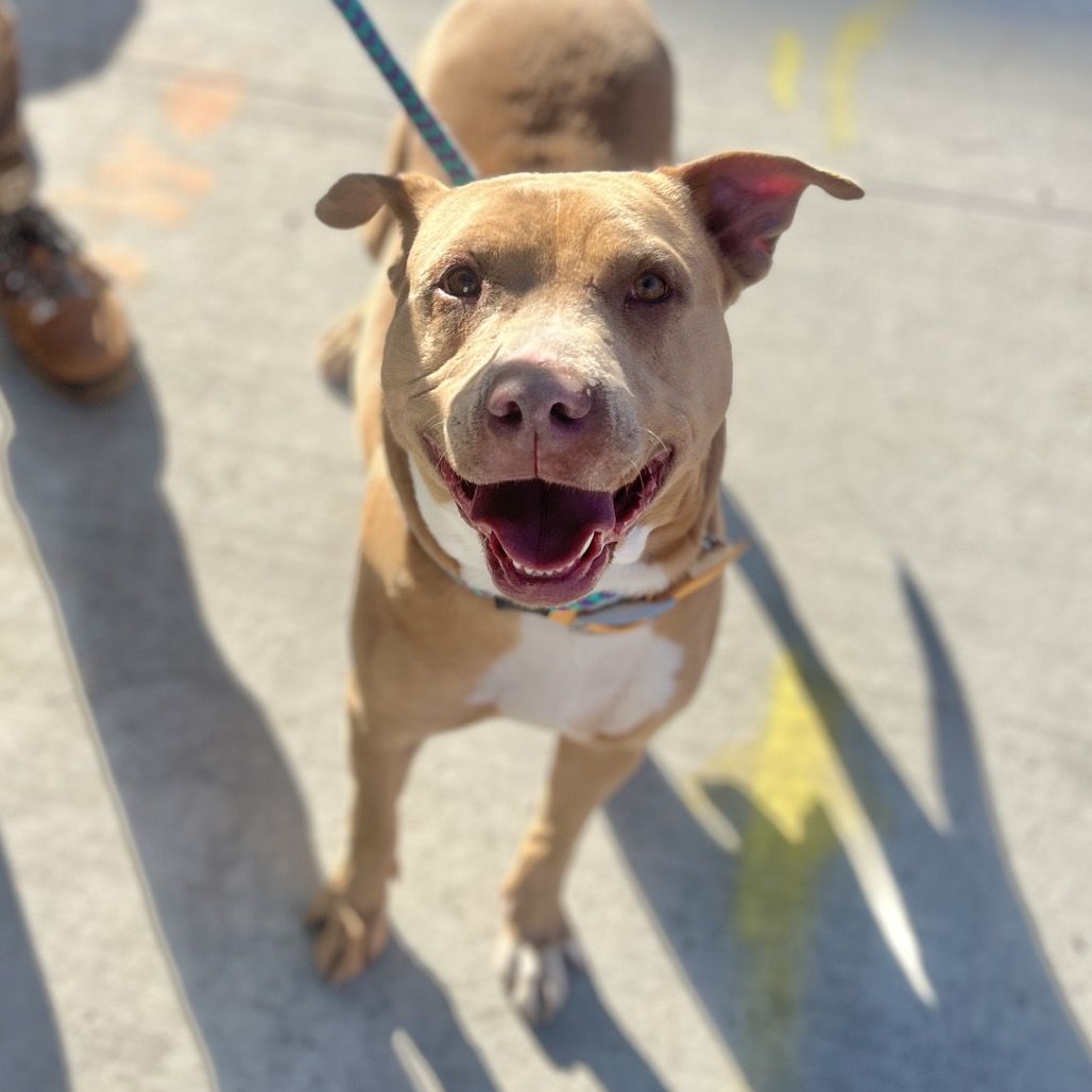 Hello my name is Macy