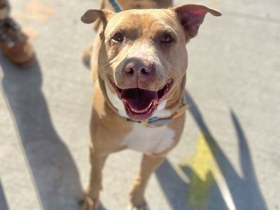 Hello my name is Macy