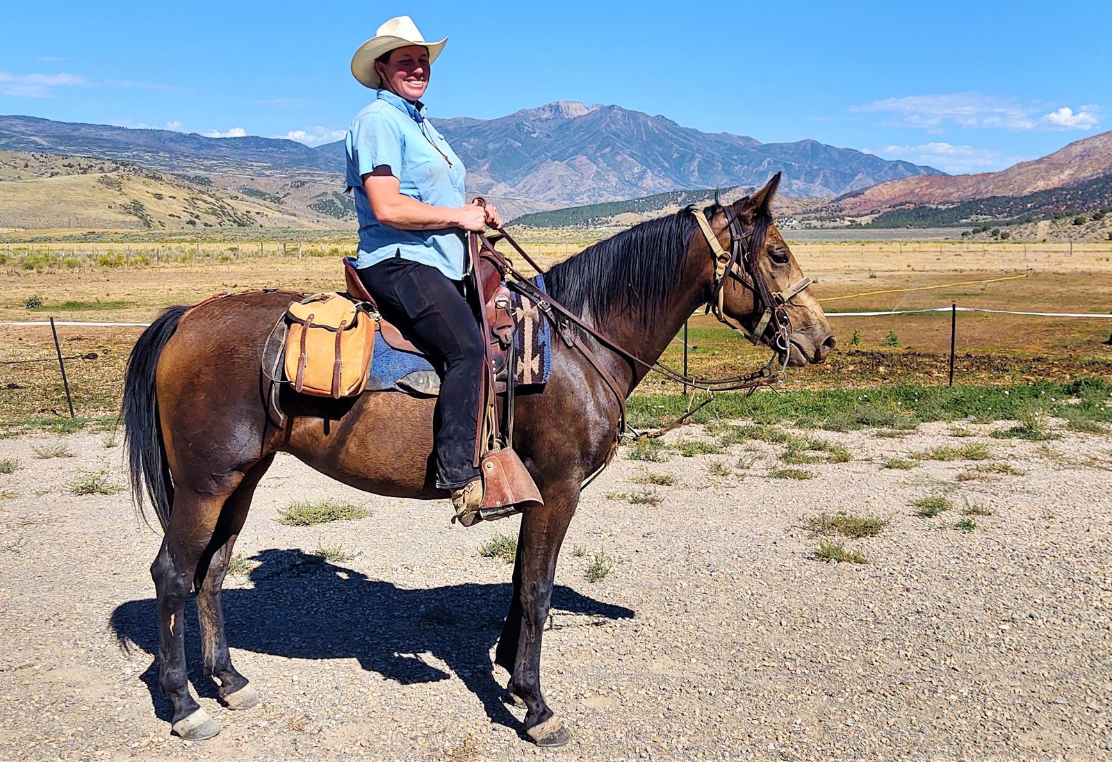 6-Year-Old buckskin gaited mare. well trained.