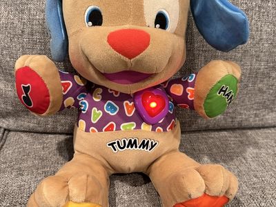 Fisher Price Laugh and Learn Puppy