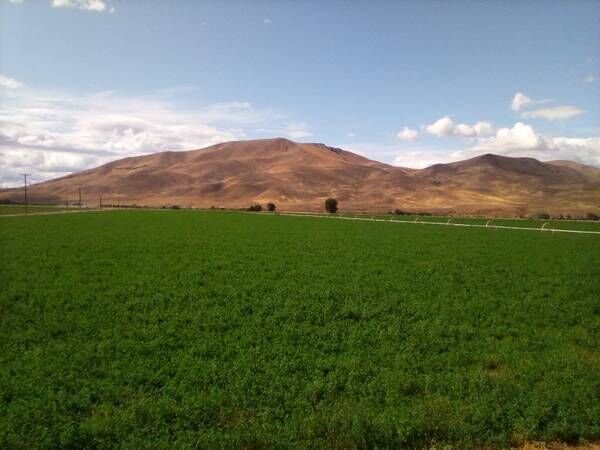 Farm for Sale. Tranquil and Panoramic views! Owner Financing.