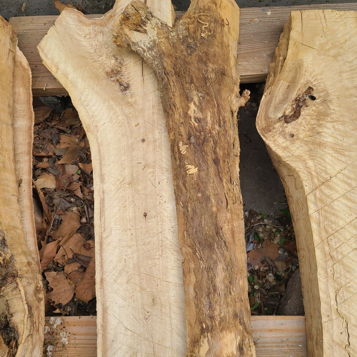 Cottonwood Slabs, (pic 6), $5 board ft, cash only