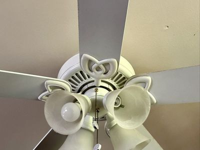 White ceiling fan