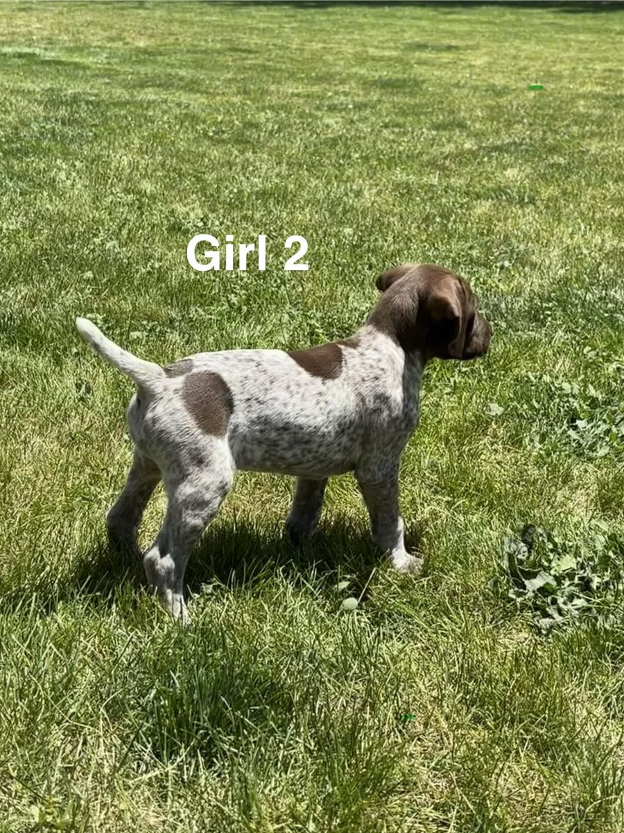 Main image 4