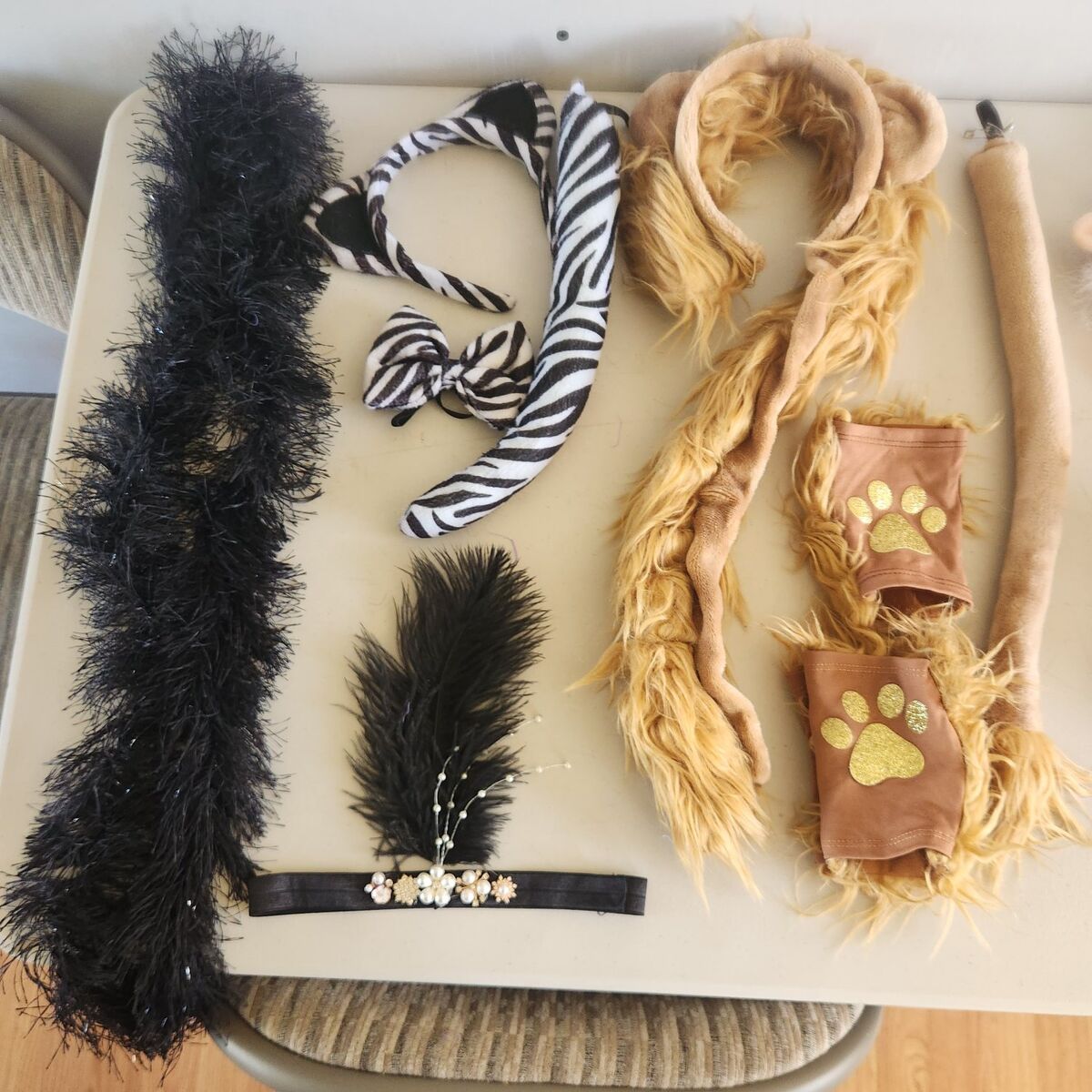 Children Costume Accessories